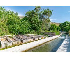 ¿Sueñas con vivir en plena naturaleza, rodeado de tranquilidad y belleza?