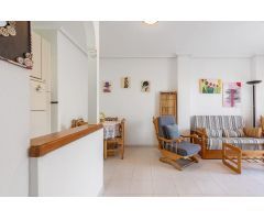 Planta baja con jardín en Torreblanca