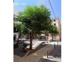 Se vende oficina OKUPA en Calle Sant Pere 43 de Tarragona (Tarragona).