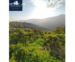 Finca Rústica en Torrox-Pueblo
