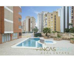 EXCELENTE APARTAMENTO  REFORMADO DE 1 HAB EN ALQUILER OCTUBRE A MAYO ZONA RINCÓN