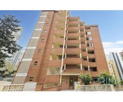 EXCELENTE APARTAMENTO  REFORMADO DE 1 HAB EN ALQUILER OCTUBRE A MAYO ZONA RINCÓN