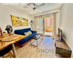 EXCELENTE APARTAMENTO  REFORMADO DE 1 HAB EN ALQUILER OCTUBRE A MAYO ZONA RINCÓN