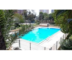 ????? Alquiler por temporada en Benidorm – Playa de Poniente