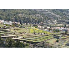 VENTA DE TERRENO RÚSTICO - AGRARIO EN VILAFLOR