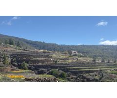 VENTA DE TERRENO RÚSTICO - AGRARIO EN VILAFLOR