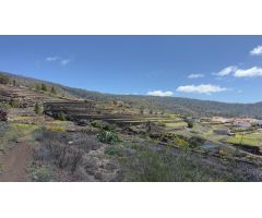 VENTA DE TERRENO RÚSTICO - AGRARIO EN VILAFLOR