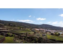VENTA DE TERRENO RÚSTICO - AGRARIO EN VILAFLOR