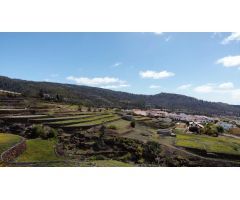VENTA DE TERRENO RÚSTICO - AGRARIO EN VILAFLOR