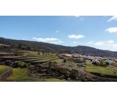 VENTA DE TERRENO RÚSTICO - AGRARIO EN VILAFLOR