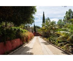 MASIA CANARIA