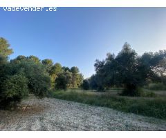 Tu refugio ideal en plena naturaleza: encanto, confort y exclusividad