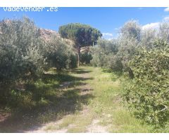 Finca rustica en Venta en Beas de Guadix, Granada