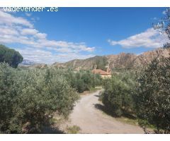 Finca rustica en Venta en Beas de Guadix, Granada