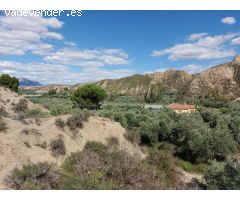 Finca rustica en Venta en Beas de Guadix, Granada
