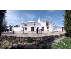 FINCA RÚSTICA EN VENTA