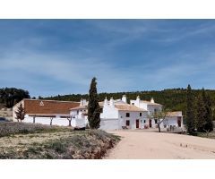 FINCA RÚSTICA EN VENTA