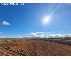 Parcela en Venta en Yecla, Murcia