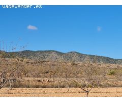 Parcela en Venta en Yecla, Murcia