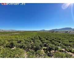 Chalet en Venta en Ponteareas, Pontevedra