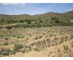 Parcela en Venta en Yecla, Murcia