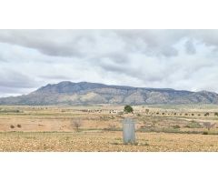 Parcela en Venta en Jumilla, Murcia