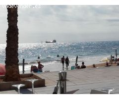 Impresionante local en la mejor zona de Torrevieja