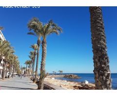 Impresionante local en la mejor zona de Torrevieja