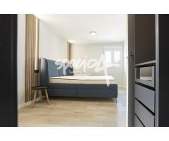 Vivienda en Alquiler en Puerta del Angel