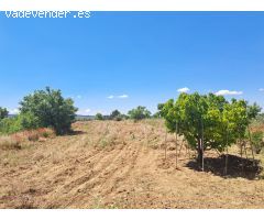 Casa de campo próxima a Requena.