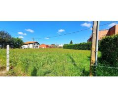 ¡¡¡TRES Parcelas en venta en Colloto!!!