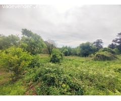 Parcela edificable en el Viso, Tapia de Casariego