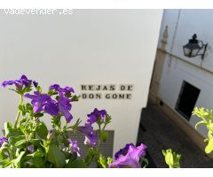 Piso de tres plantas junto al Palacio de Viana, Córdoba capital