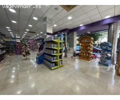 MAGNIFICO LOCAL CON GRAN ESCAPARATE EN MEDINA AZAHARA, CORDOBA