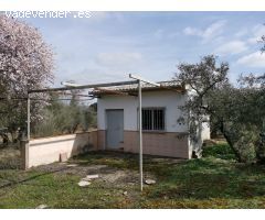 Terreno Agrario con Olivos Centenarios y Casa de Aperos – A 10 Minutos del Centro de Loja (Granada)