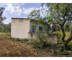 Terreno Agrario con Olivos Centenarios y Casa de Aperos – A 10 Minutos del Centro de Loja (Granada)