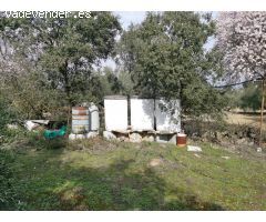 Terreno Agrario con Olivos Centenarios y Casa de Aperos – A 10 Minutos del Centro de Loja (Granada)