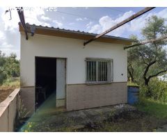 Terreno Agrario con Olivos Centenarios y Casa de Aperos – A 10 Minutos del Centro de Loja (Granada)