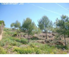 Terreno rural en Venta en Masllorenç, Tarragona