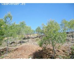 Terreno rural en Venta en Masllorenç, Tarragona