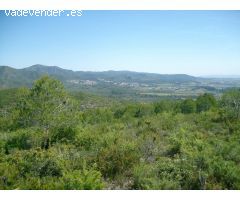 Terreno rural en Venta en Masllorenç, Tarragona
