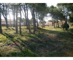 Solar en Venta en Cabra del Camp, Tarragona
