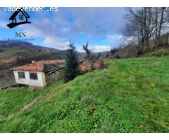 VENTA DE FINCAS Y CONJUNTO DE TRES CABAÑAS PASIEGAS EN SAN PEDRO DEL ROMERAL