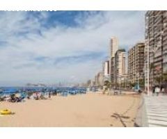 Magnífico estudio en alquiler en Benidorm