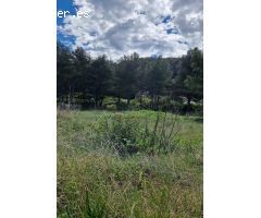 La casa de tus sueños en Las Palmeras - Canyelles