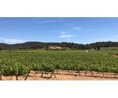 Finca de aprox 67 hectàreas. Con dos casas principales para reformar