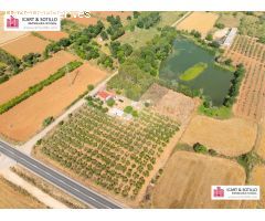 BONITA FINCA CON CASETA EN ULLDECONA