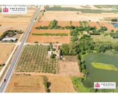 BONITA FINCA CON CASETA EN ULLDECONA