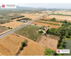 BONITA FINCA CON CASETA EN ULLDECONA