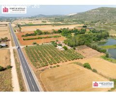 BONITA FINCA CON CASETA EN ULLDECONA